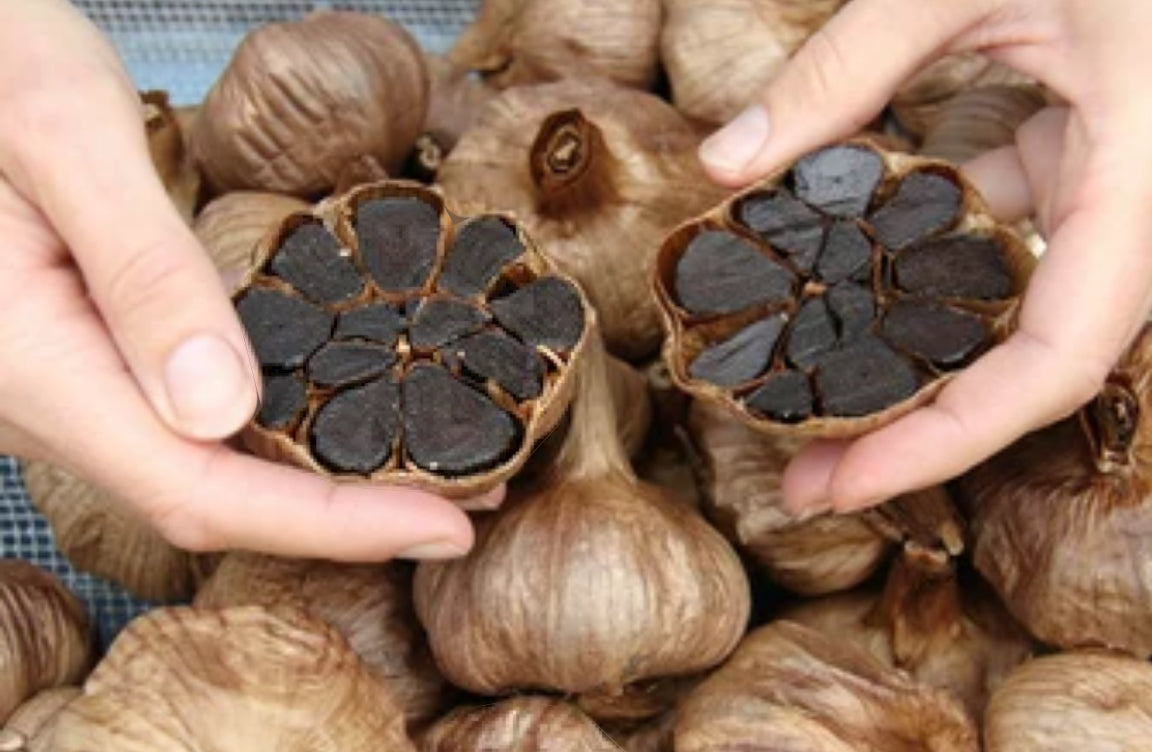 BLACK GARLIC 3 Pcs 4oz (112g) - AJO NEGRO  3 Pcs 4oz (112g)